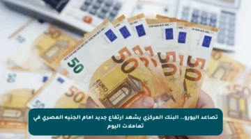 تصاعد اليورو.. البنك المركزي يشهد ارتفاع جديد أمام الجنيه المصري في تعاملات اليوم